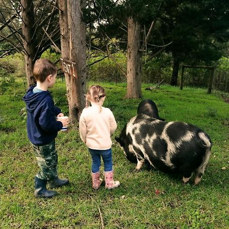 Fernhill Guest Farm Villa Knysna Dış mekan fotoğraf