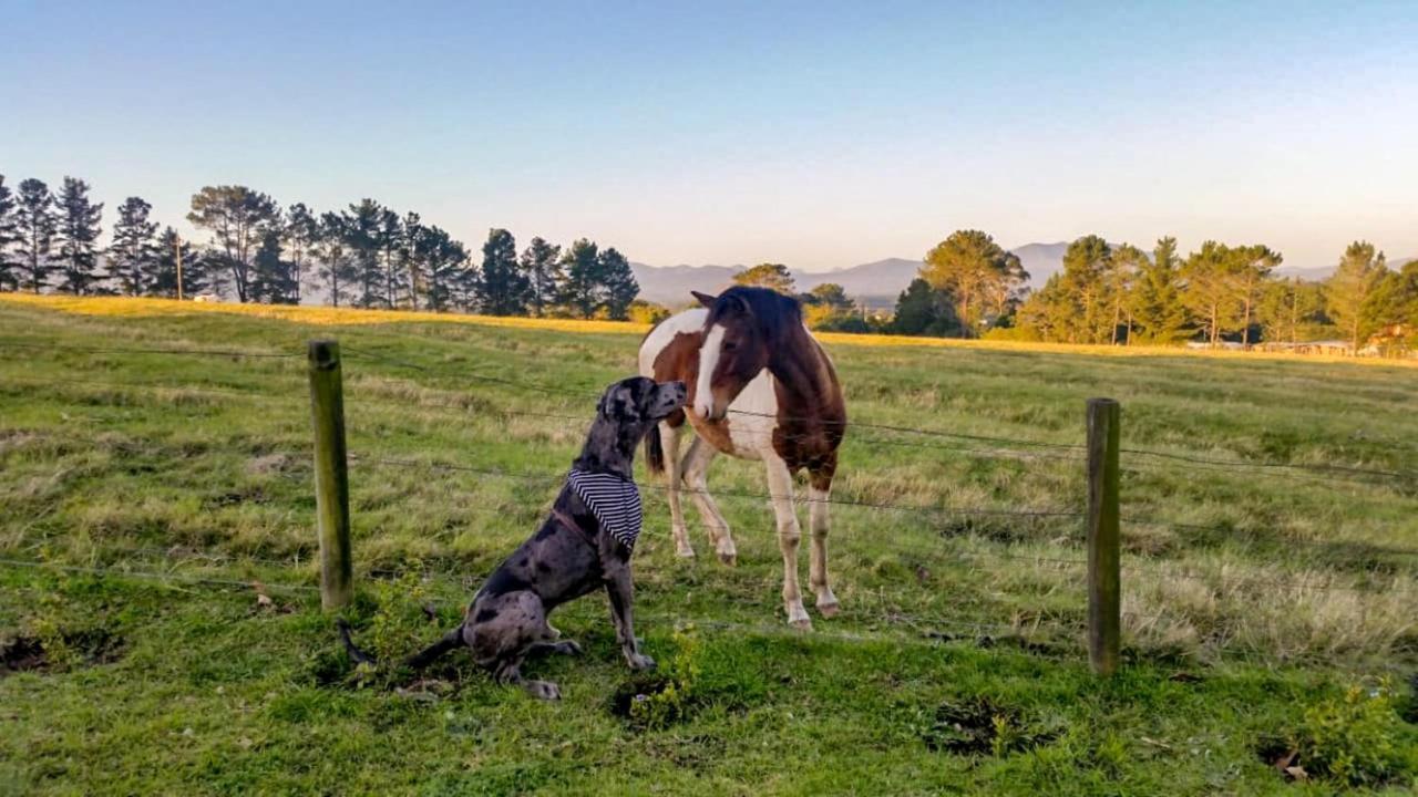 Fernhill Guest Farm Villa Knysna Dış mekan fotoğraf