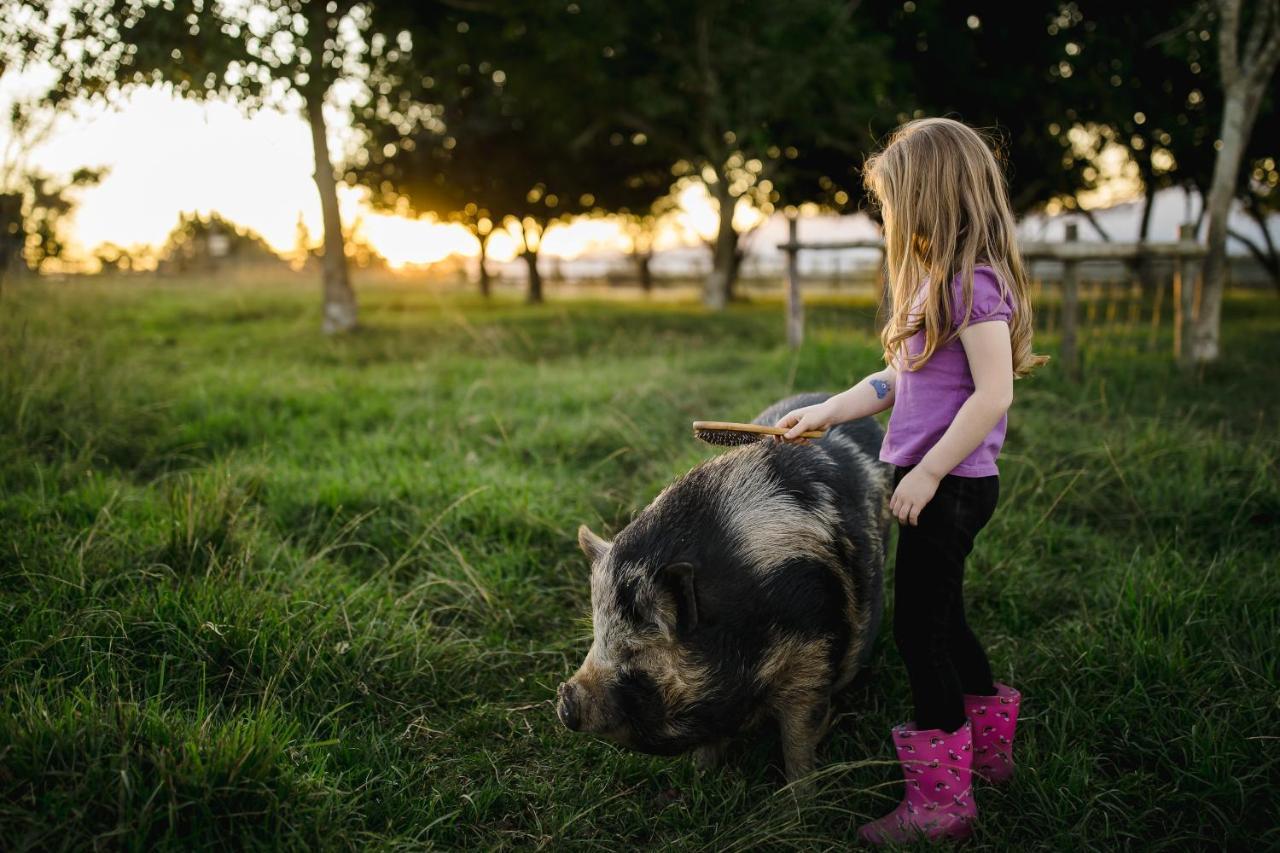 Fernhill Guest Farm Villa Knysna Dış mekan fotoğraf