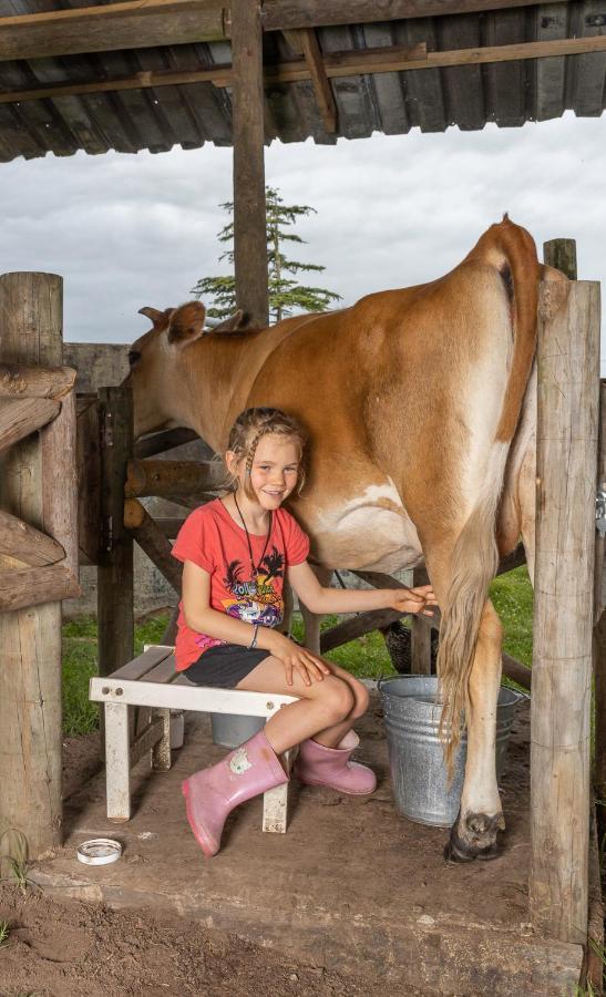 Fernhill Guest Farm Villa Knysna Dış mekan fotoğraf
