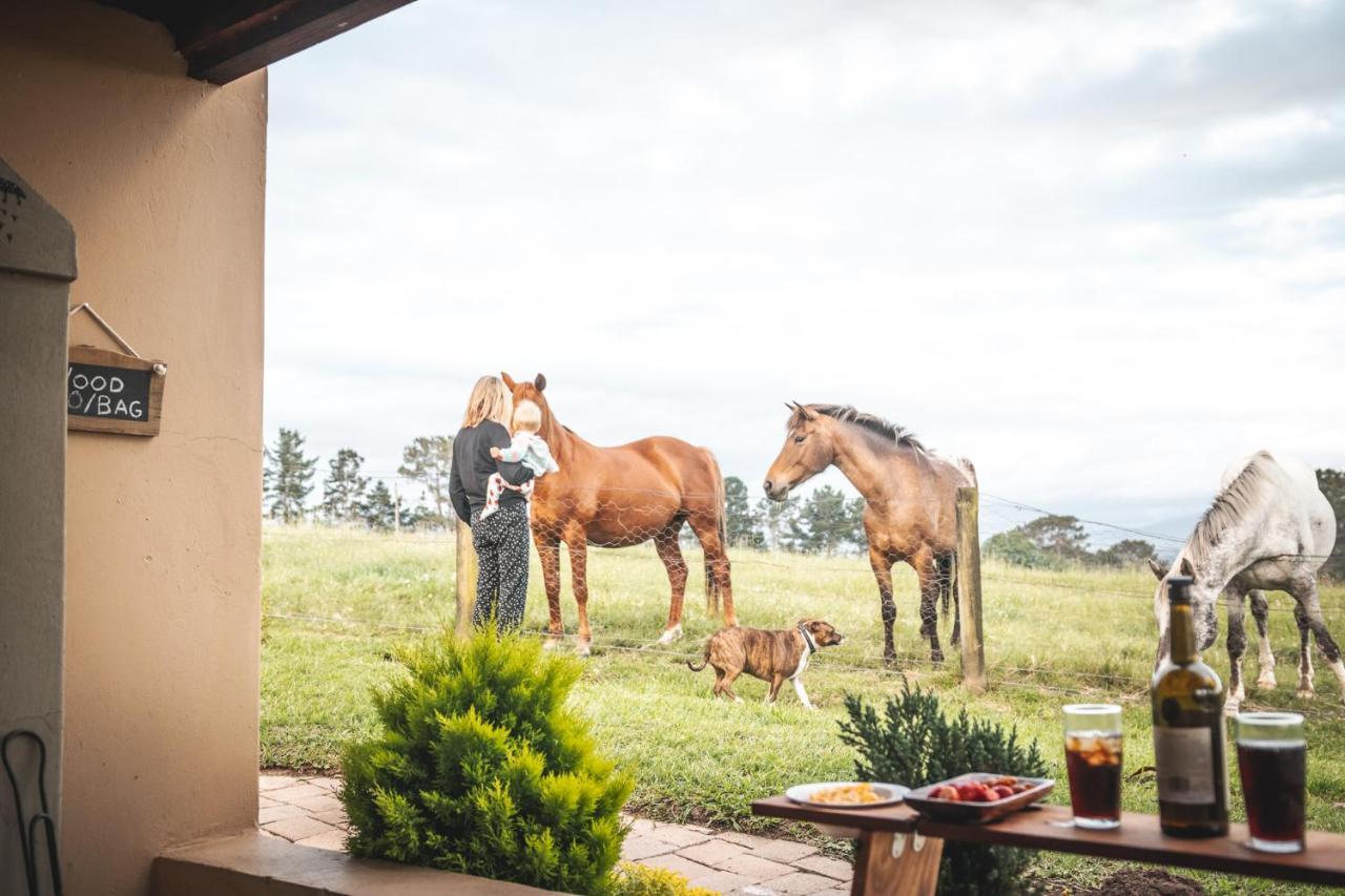 Fernhill Guest Farm Villa Knysna Dış mekan fotoğraf