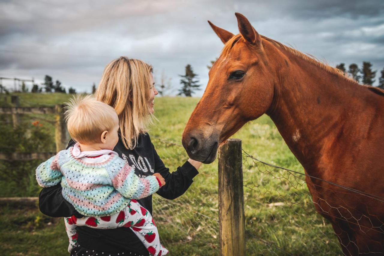 Fernhill Guest Farm Villa Knysna Dış mekan fotoğraf