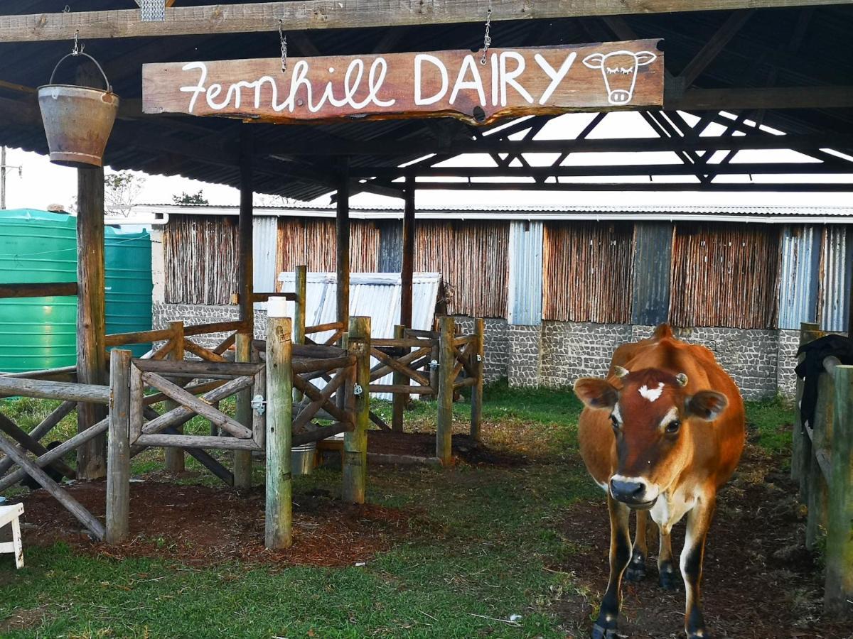 Fernhill Guest Farm Villa Knysna Dış mekan fotoğraf