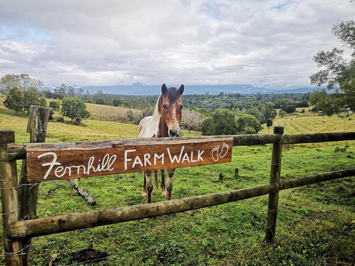Fernhill Guest Farm Villa Knysna Dış mekan fotoğraf