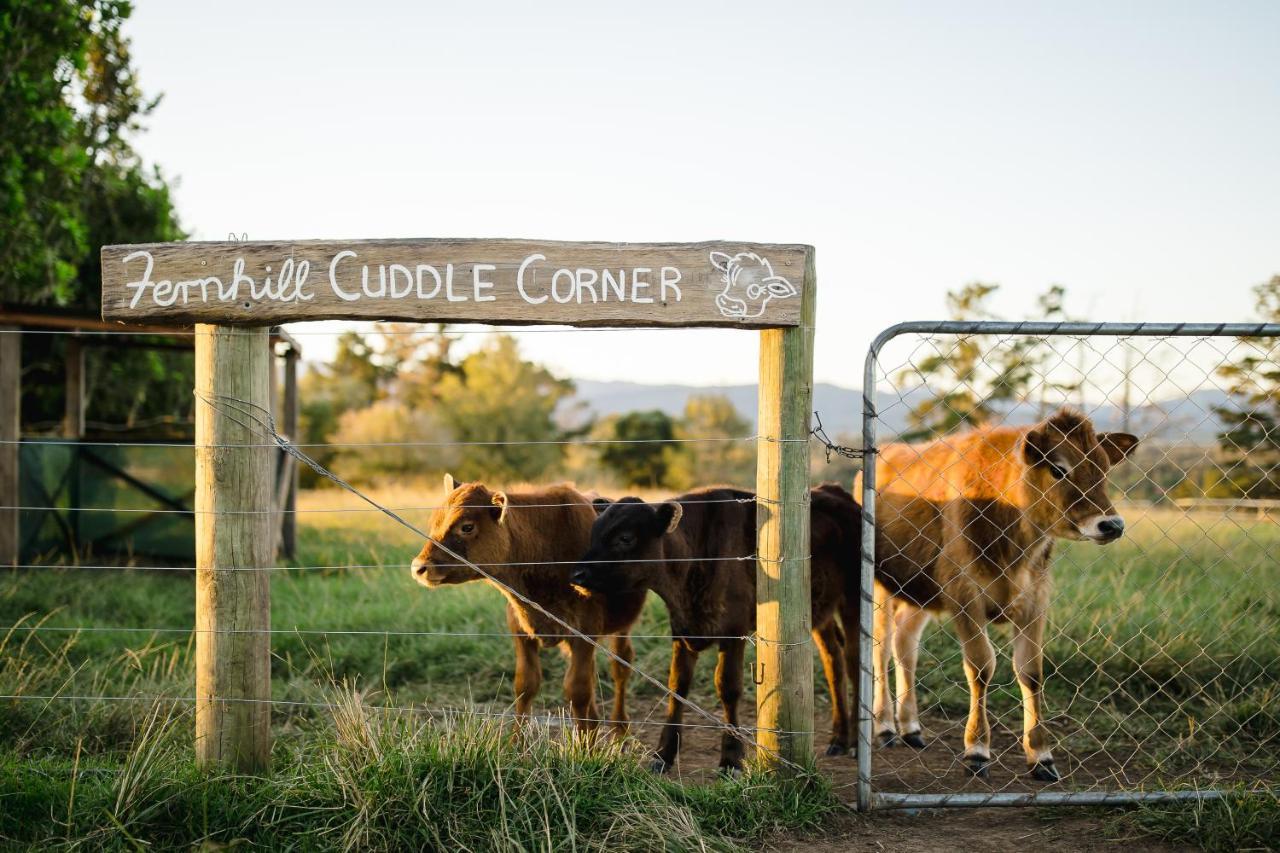 Fernhill Guest Farm Villa Knysna Dış mekan fotoğraf