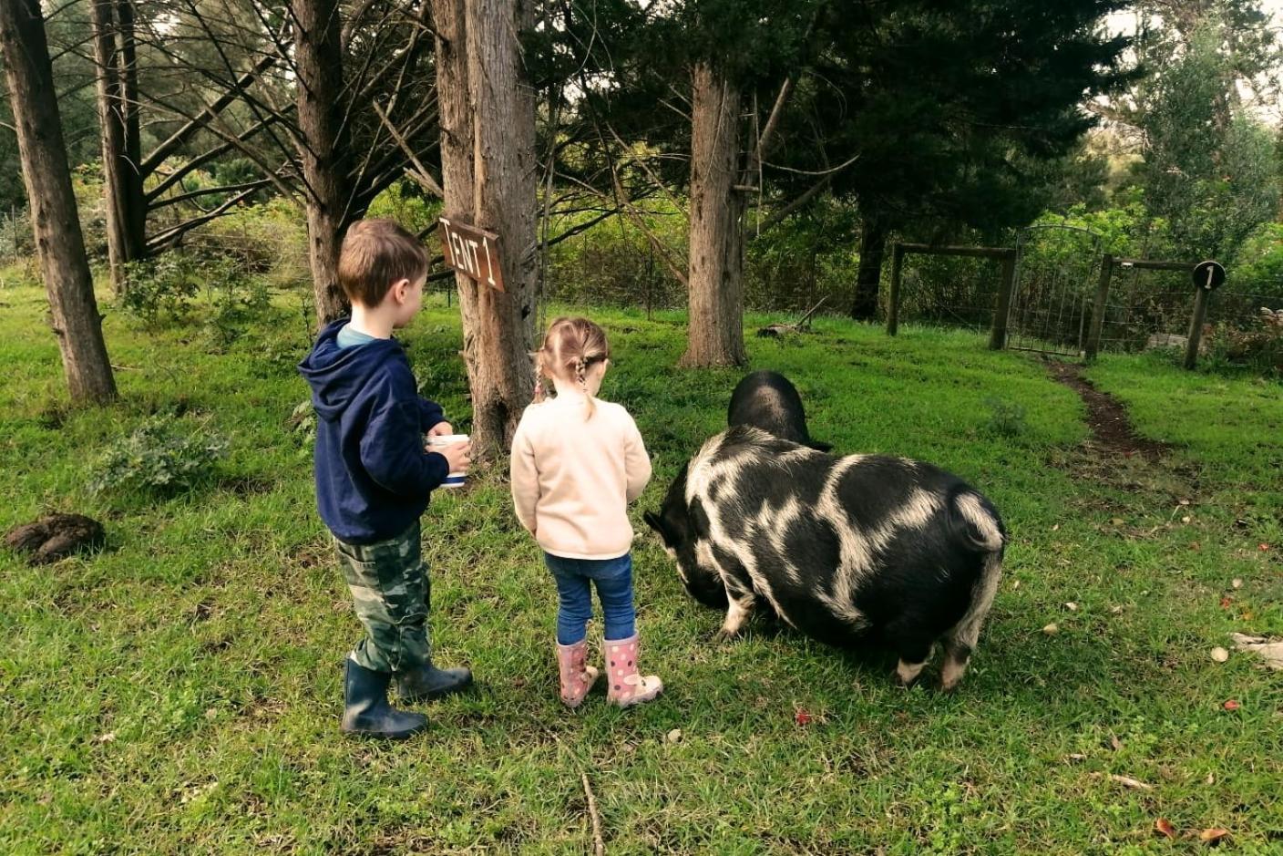 Fernhill Guest Farm Villa Knysna Dış mekan fotoğraf